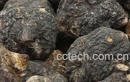 中药黑玛咖的功效与作用-1