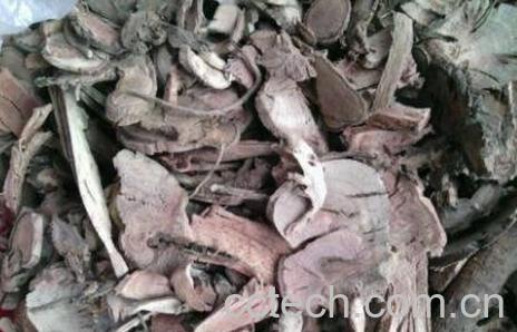 钻山风的作用与禁忌-0