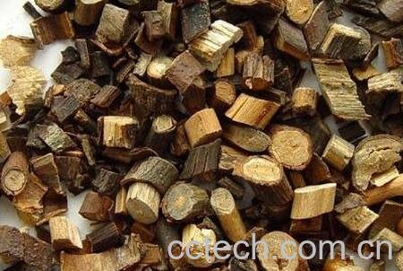 钻山风的作用与禁忌-1