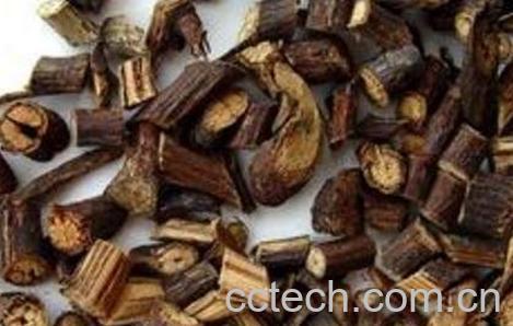 首乌藤的功效与作用 首乌藤的药用价值-0