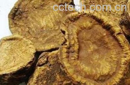 中药熟军的功效与作用-0