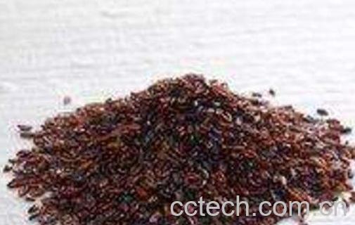 盐车前子的功效与作用-0