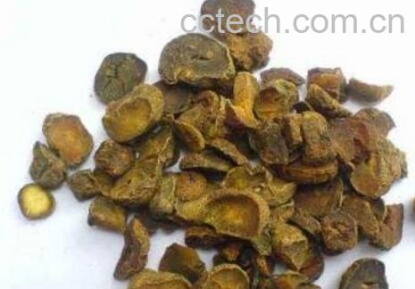 延胡索的药用价值与功效-0