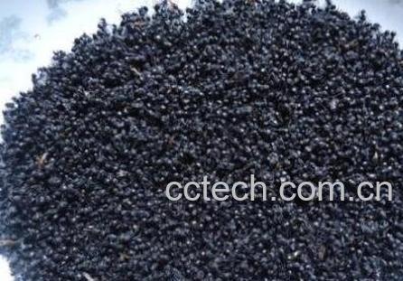 黑蚂蚁的功效与作用-1