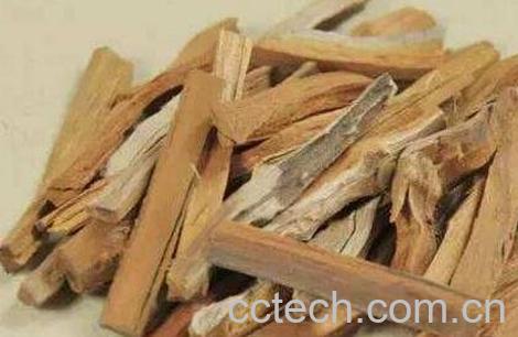 银柴胡的功效与作用及禁忌-1