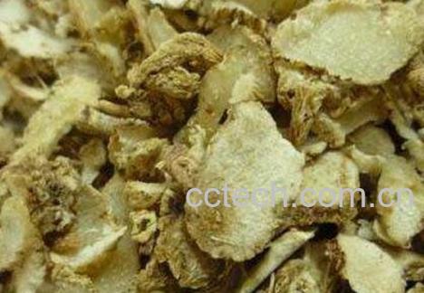 白及的功效与作用及禁忌-0