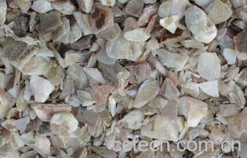 珍珠母的功效与作用及禁忌-1