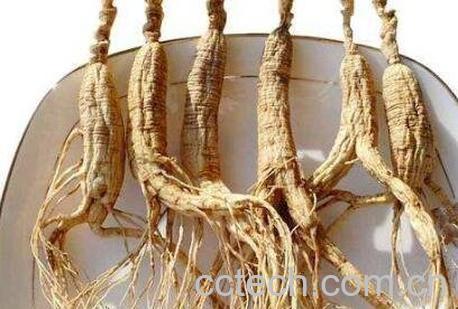 移山参的功效与作用-0