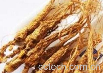 移山参的功效与作用-1