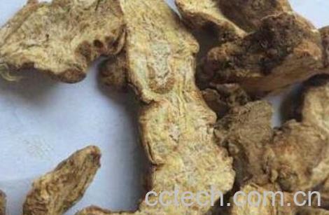 苍术的功效与作用及禁忌-0