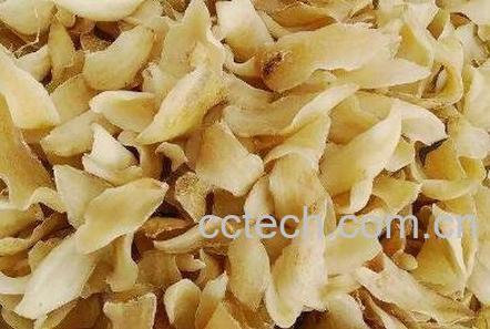 菜百合和药百合的区别-1