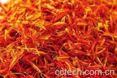 草红花的功效与作用及禁忌-1