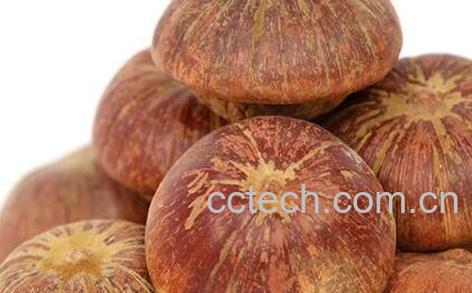 肾果的药用价值-0