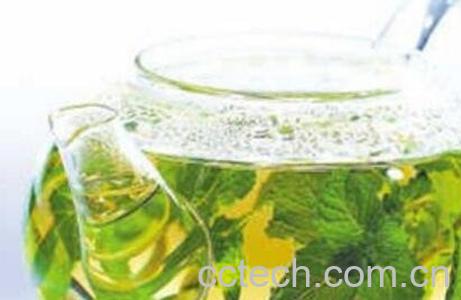 薄荷叶泡水的作用与功效-1