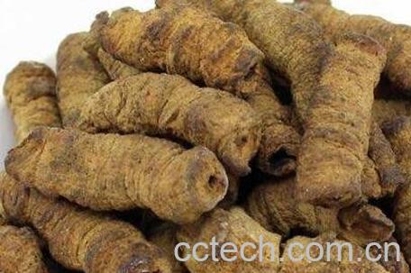 巴戟天的作用与功效-0