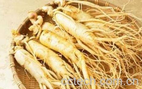 人参怎么吃效果最好 人参的食用方法-1