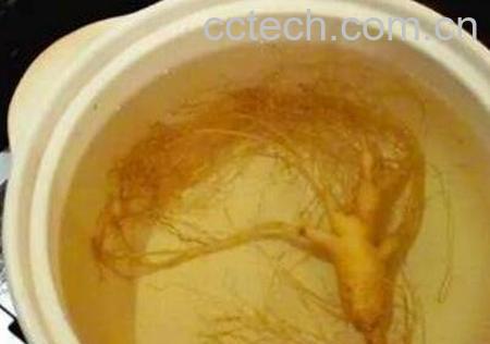 人参怎么吃效果最好 人参的食用方法-0