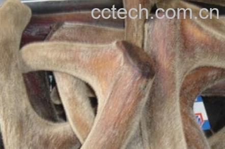 鹿茸如何吃可以壮阳-1