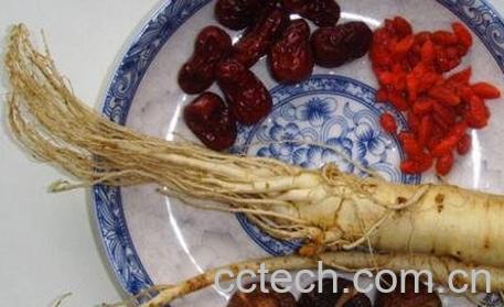 新鲜人参怎么吃 鲜人参怎么吃效果好-0