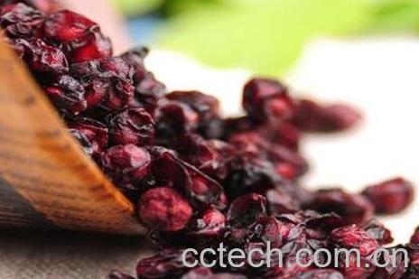 五味子的功效与作用与常见用法-0