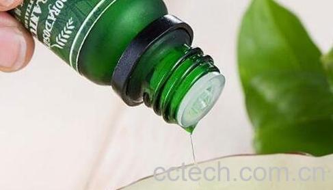 茶树精油的功效与作用 茶树精油的药用价值-1