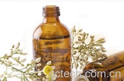 茶树精油的功效与作用 茶树精油的药用价值-0