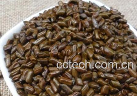 决明子如何减肥 决明子的减肥功效-0