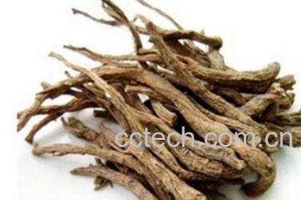 当归尾的功效与作用-0