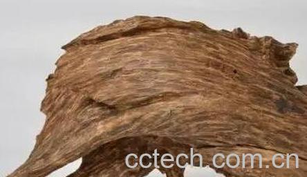 沉香是什么 沉香的功效与作用-1