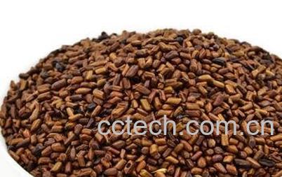 决明子枕头的功效与作用-0