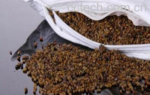 决明子枕头的功效与作用-1