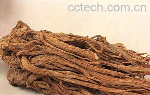 当归的功效和副作用-0