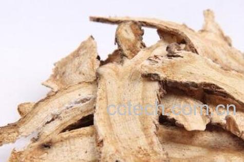 当归的功效和副作用-1