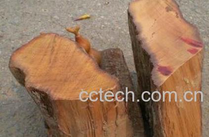 沉香木的功效与作用-0