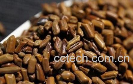 决明子泡水喝的功效与方法-0