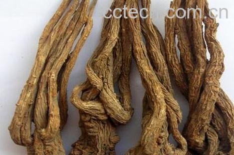 全当归的功效与作用及禁忌-1