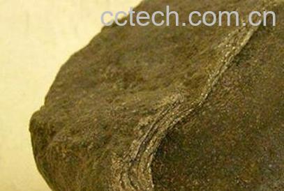 龙涎果的功效与作用-1