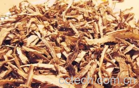 当归的食用方法与食用禁忌-1