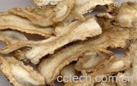 当归的食用方法与食用禁忌-0