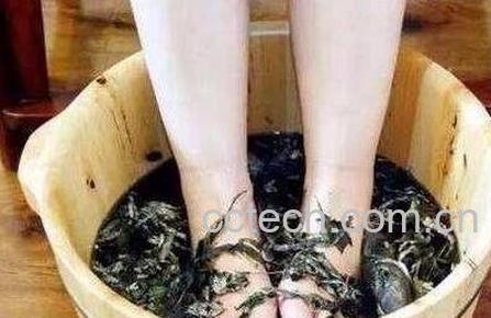 艾叶泡脚有什么好处 艾叶泡脚的用法-1