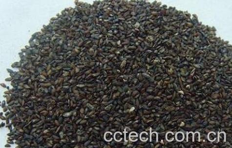 车前子的药用价值与副作用-1