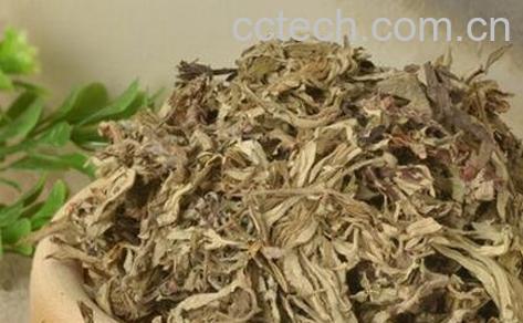 艾叶的副作用有哪些 使用艾叶的禁忌-1