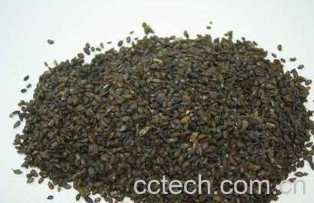 车前子图片 车前子的作用与功效-1