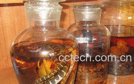 海马泡酒的功效与作用-0