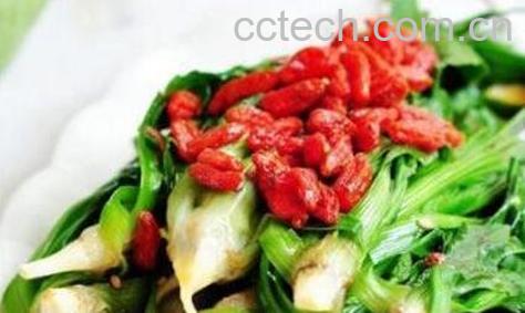  车前草怎么吃车前草的食用方法-1