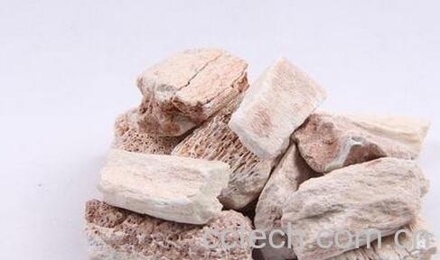 煅龙骨的药用价值和副作用-0