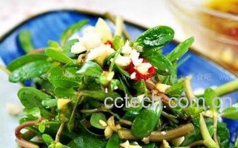 吃老鼠耳有什么营养价值 老鼠耳的功效与作用-0