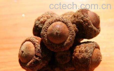 风流果的功效与作用 风流果的副作用-0