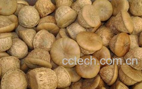 风流果泡酒方法与功效-0