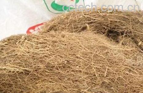 柳根的营养价值和药用价值-0